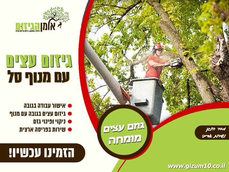 צילום יח”צ