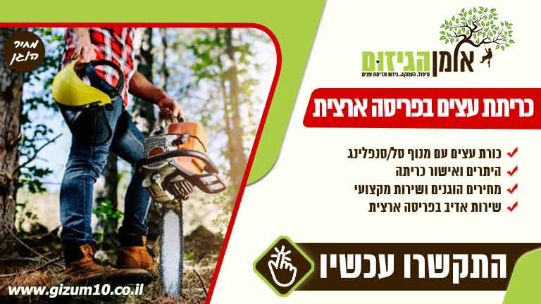 צילום יח”צ