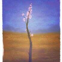 איור: מנחם הלברשטט