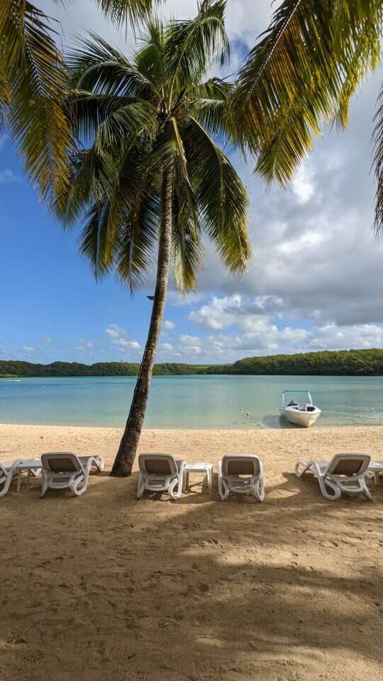 איזו מן שלווה. | רינה נקונצ'ני