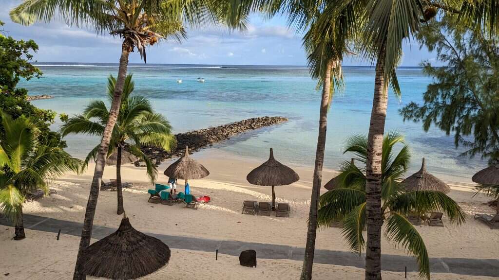 נוף ראשון של בוקר. | רינה נקונצ'ני