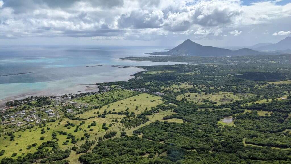 תצפית מראש ההר, Ebony Forest. | רינה נקונצ'ני