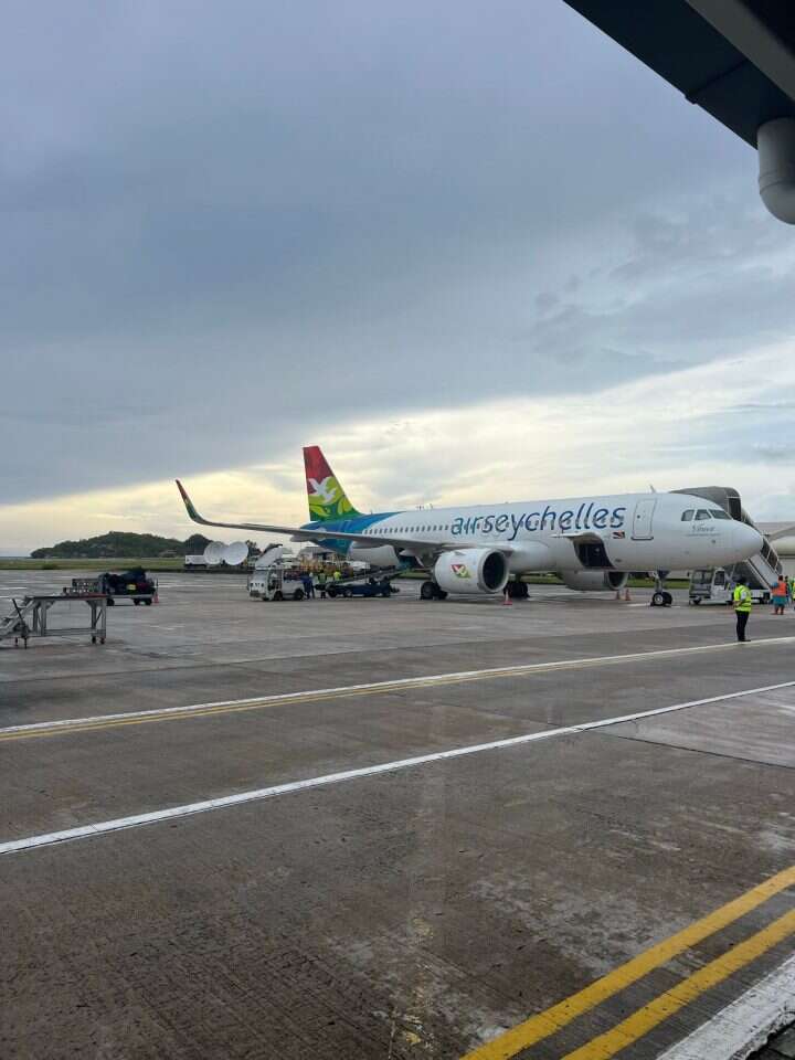 סיישל. | שאנון מרוז