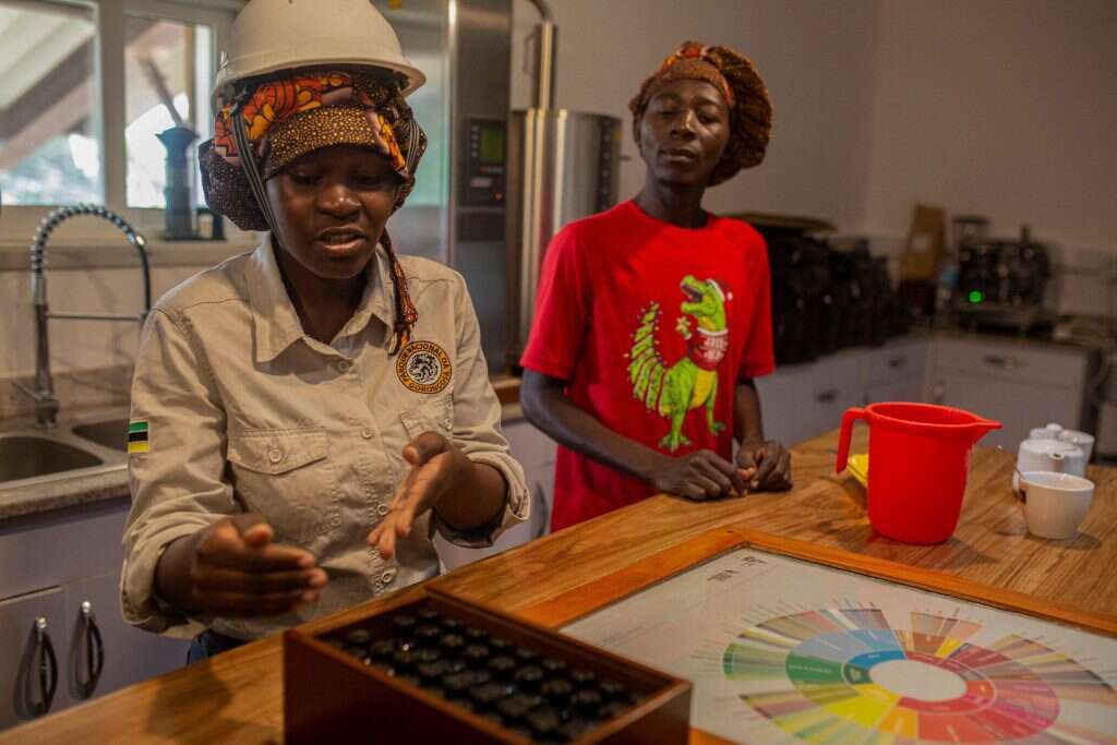 טועמי קפה. | AFP