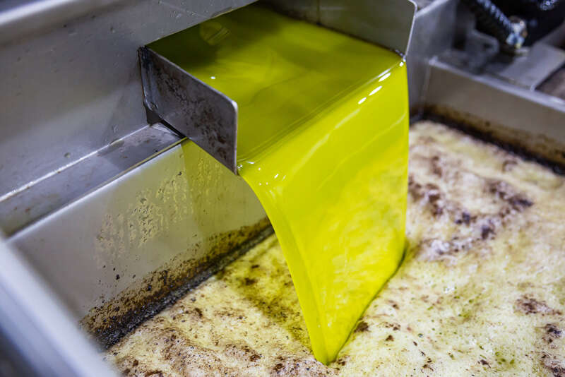 סטודיו דני גולן