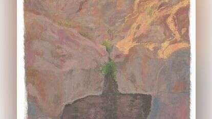 איור: מנחם הלברשטט