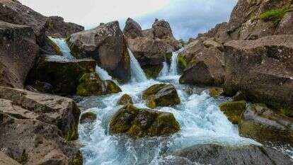 צילומים: שאטרסטוק