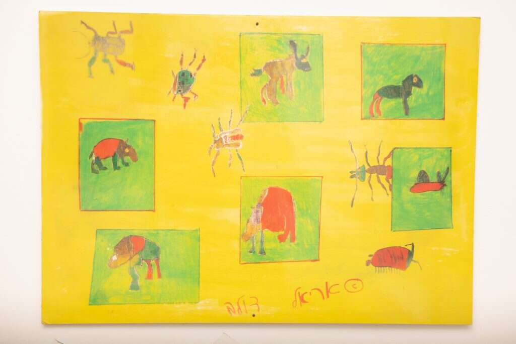 שריה דיאמנט