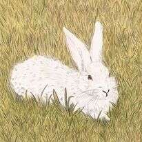 איור: שרון ארדיטי