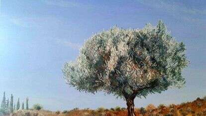 הילה צ'ולסקי, "עץ הזית הגלילי", שמן על בד, 2021. מתוך התערוכה "מסעות בנתיבי ישראל" המוצגת כעת בתיאטרון ירושלים הילה צ'ולסקי, "עץ הזית הגלילי", שמן על בד, 2021. מתוך התערוכה "מסעות בנתיבי ישראל" המוצגת כעת בתיאטרון ירושלים