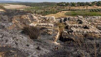 תל גזר אחרי השרפה, השבוע. | יוסי אלוני