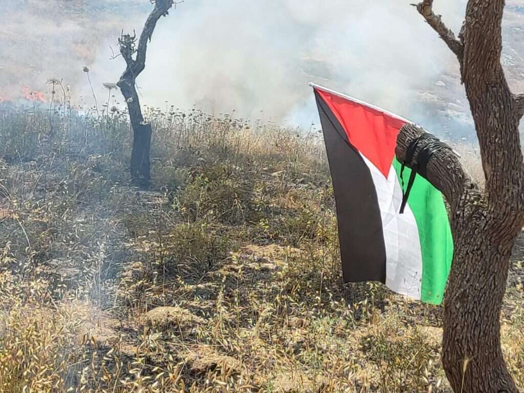 מטע שהוצת סמוך ליצהר, דגל אש"ף הושאר במקום. | דוברות כבאות והצלה מטע שהוצת סמוך ליצהר, דגל אש"ף הושאר במקום. | דוברות כבאות והצלה