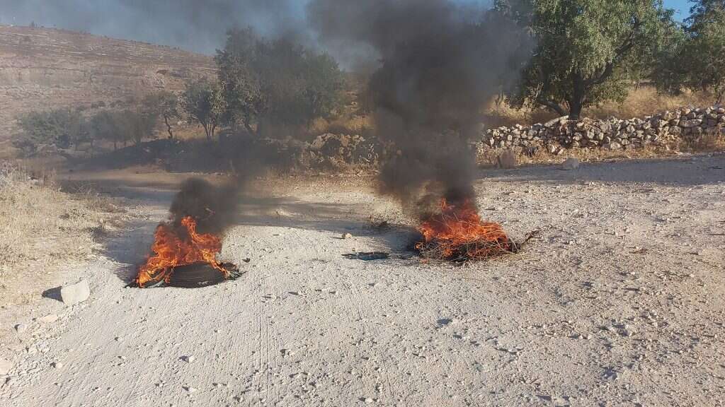 שרפה ליד היישוב מגרון. | אלישע ירד שרפה ליד היישוב מגרון. | אלישע ירד