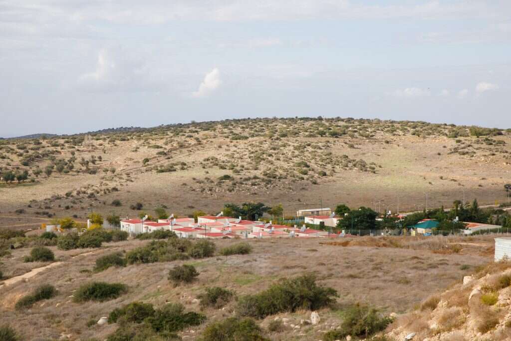 השיח על השיבה נחלש. בני־דקלים. | לירון מולדובן