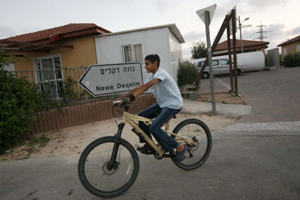 האוכלוסייה שנברה בעבר השתקמה מהר. ניצן, 2009. | מרים אלסטר, פלאש 90