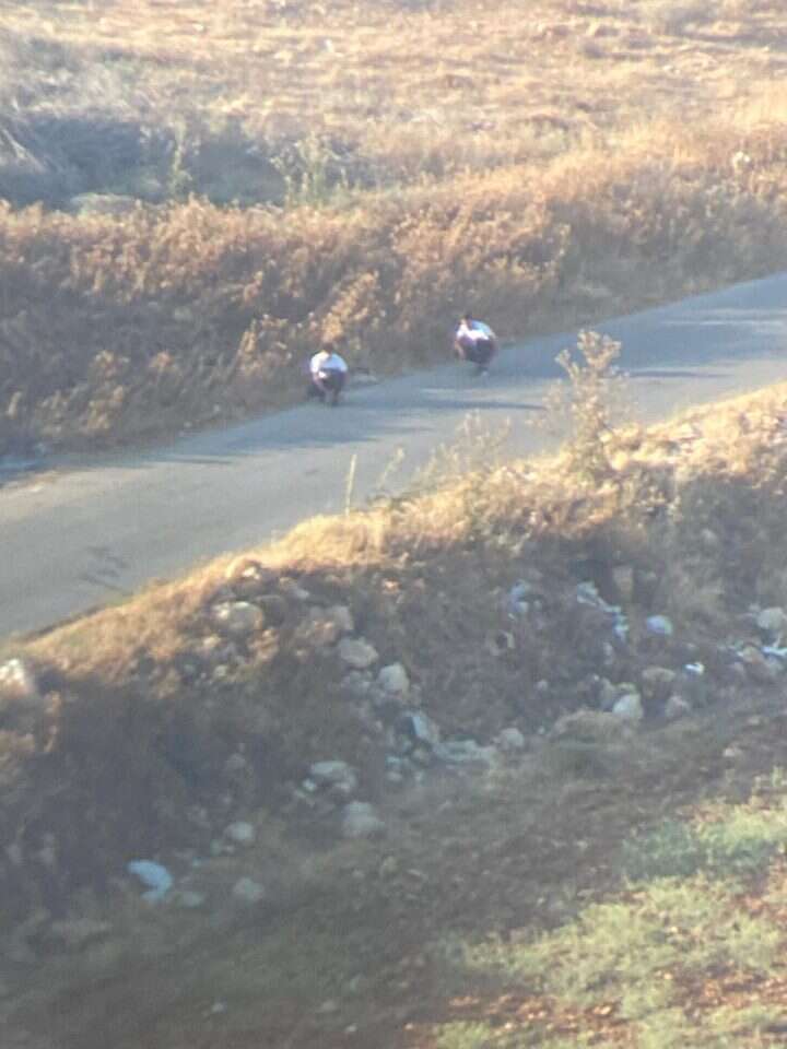 מציתים בפעולה מציתים בפעולה