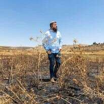 נתי רום בשטח שרוף בגוש שילה. | יוסי אלוני