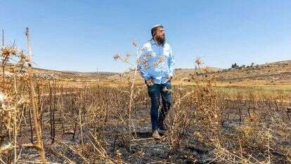 נתי רום בשטח שרוף בגוש שילה. | יוסי אלוני נתי רום בשטח שרוף בגוש שילה. | יוסי אלוני