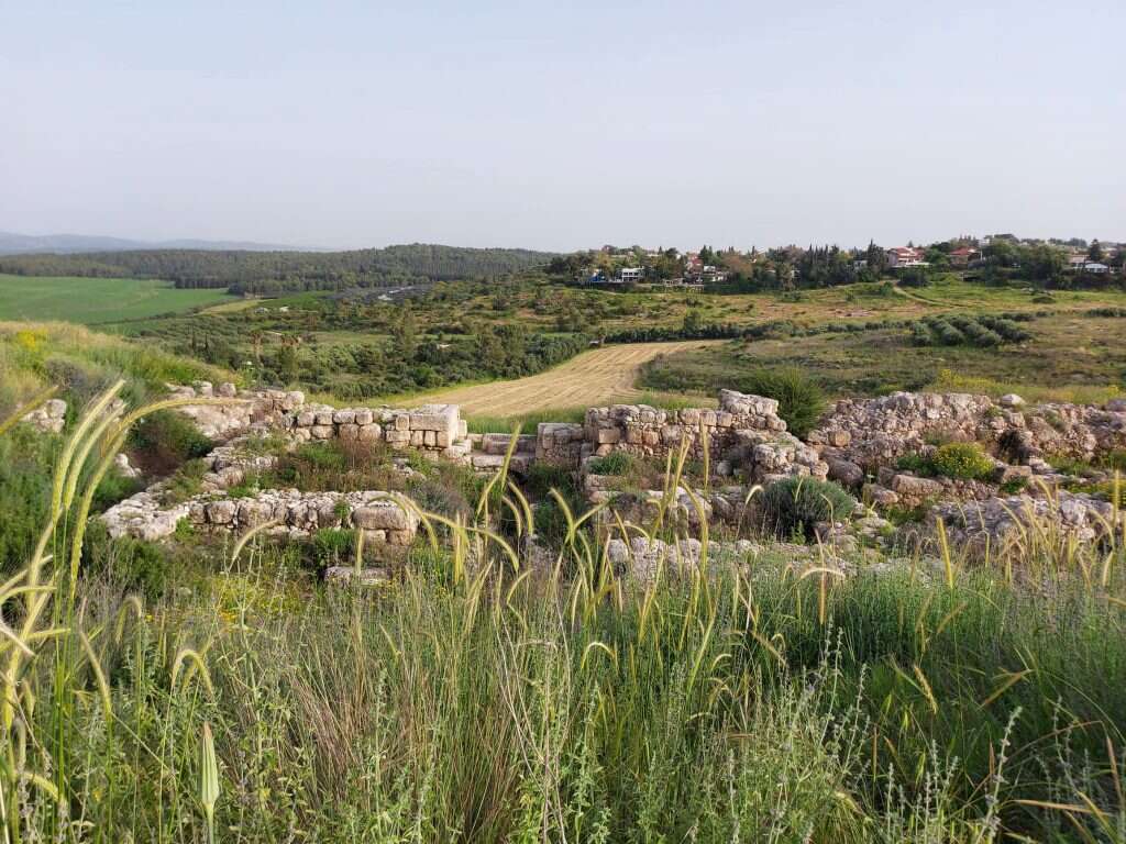 האתר בימים כתיקונם.