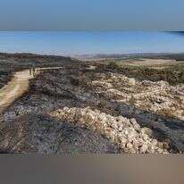 תל גזר לאחר השרפה, השבוע. | יוסי אלוני