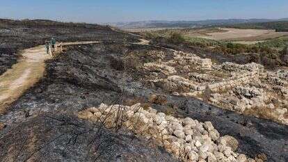 תל גזר לאחר השרפה, השבוע. | יוסי אלוני