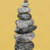 איור: שרון ארדיטי