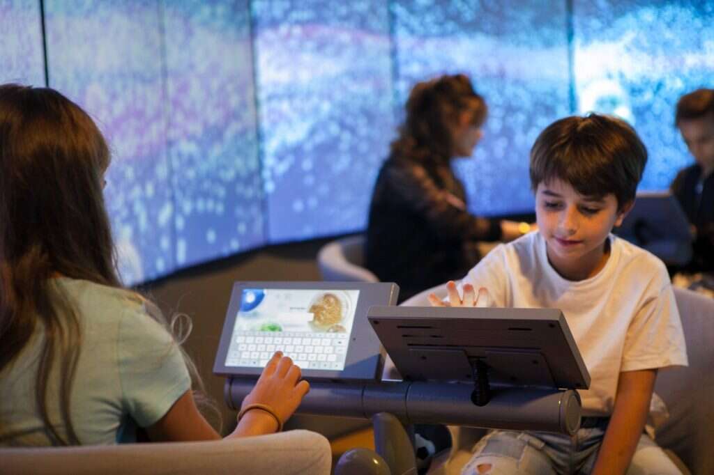 פעילות קיץ 2022 במרכז מהותי. | אמית הרמן פעילות קיץ 2022 במרכז מהותי. | אמית הרמן