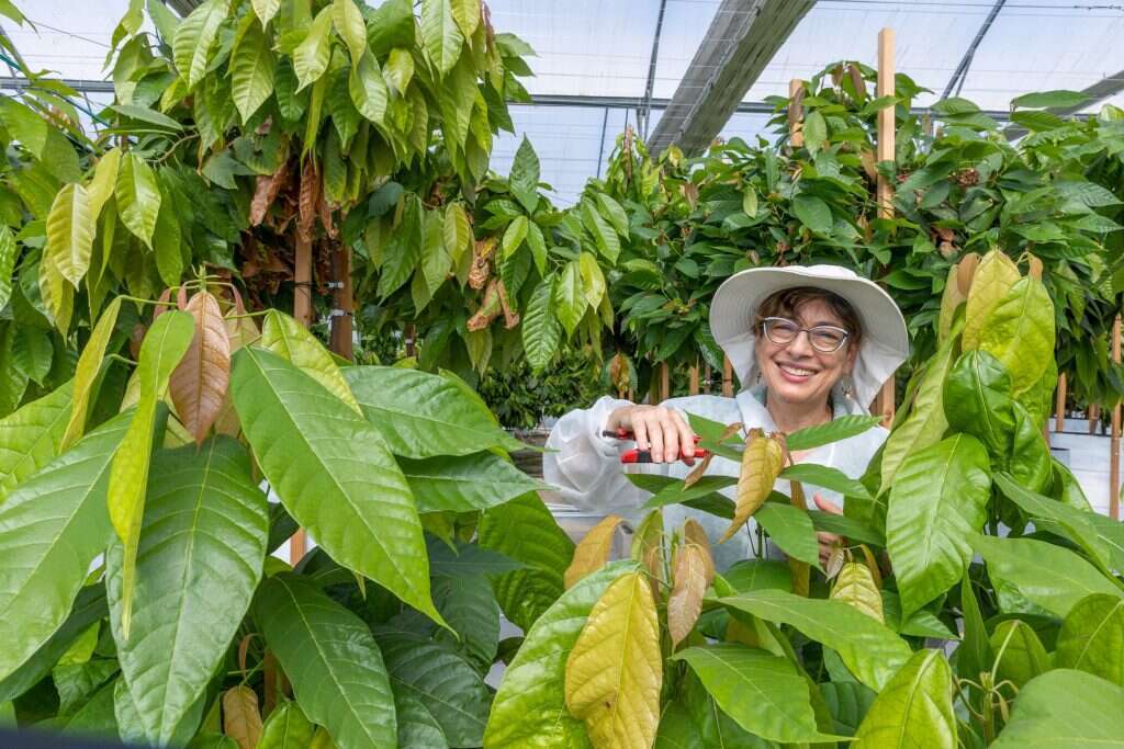 ד"ר אלן גרבר. | יוסי אלוני ד"ר אלן גרבר. | יוסי אלוני