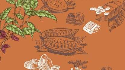 איורים: שאטרסטוק איורים: שאטרסטוק