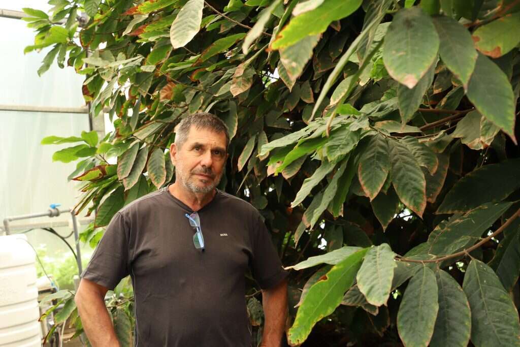 גיל דרוקר. | יעל (פרוינד) אברהם גיל דרוקר. | יעל (פרוינד) אברהם