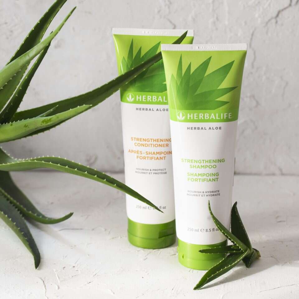 הרבלייף. | סטודיו דיטיילס