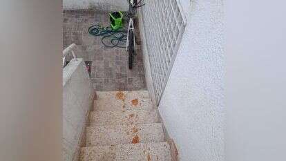 באדיבות המצלם באדיבות המצלם