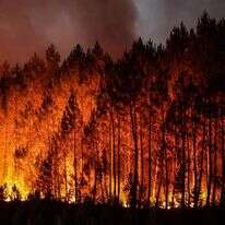 שריפת בר משתוללת במערב צרפת. | AFP