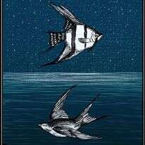 איור: שרון ארדיטי