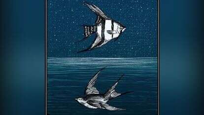 איור: שרון ארדיטי