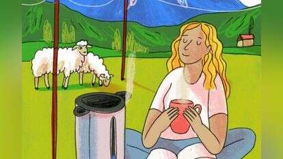 איור: נועה קלנר