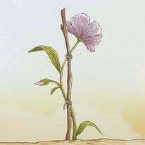 איור: הודיה מוסרי–גילבר