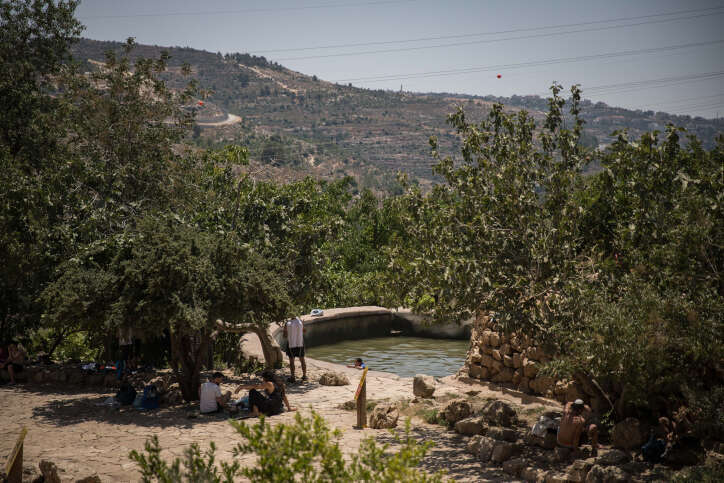 עין לבן. | הדס פרוש, פלאש 90