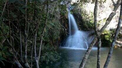 קרדיט תמונה: AFP