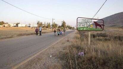 נהגו בתום לב. מצפה כרמים. | אופיר דוד