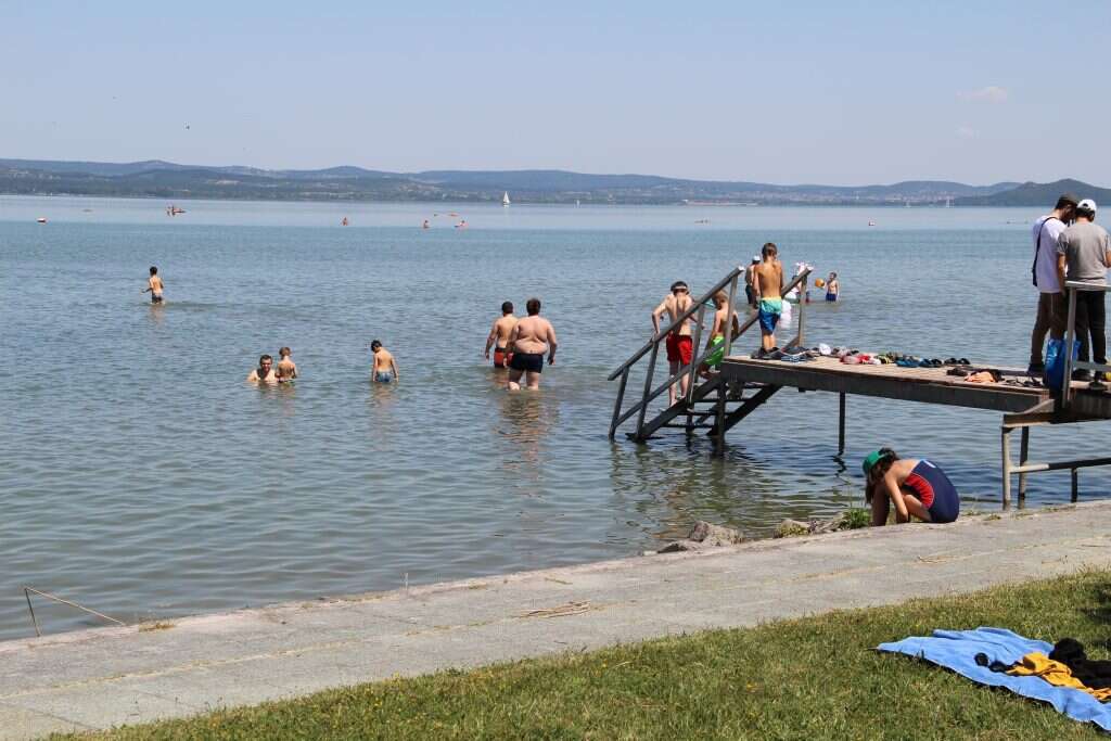 פליטים בחדר האוכל | רחלי מלק־בודה