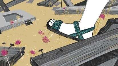 איור: רעות בורץ