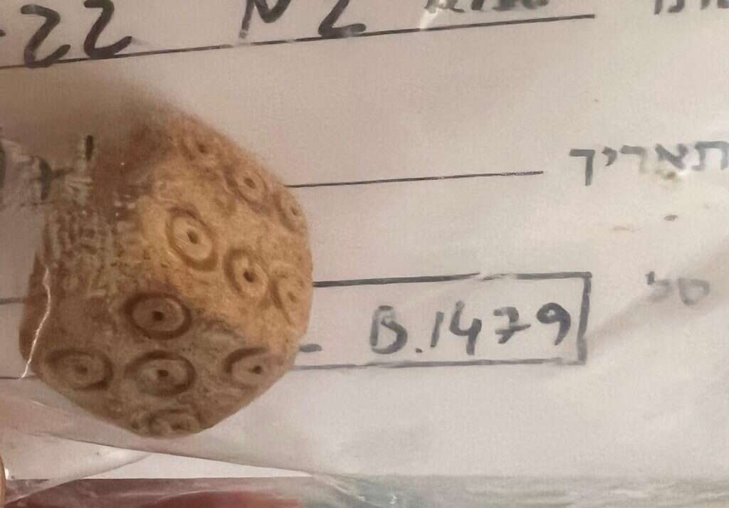 קוביית המשחק שנחשפה בשילה הקדומה. | דוברות בנימין