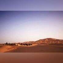 אילוסטרציה. | שאטרסטוק