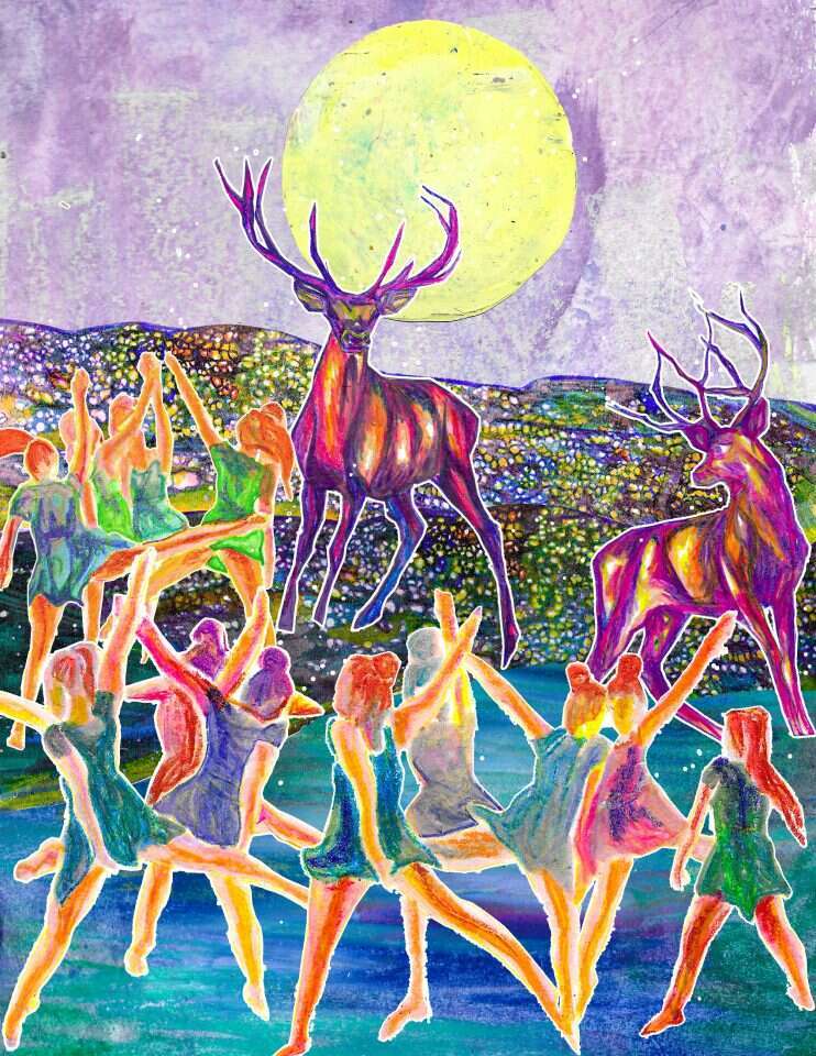 איור: שקד סגל איור: שקד סגל