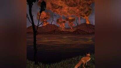 איור: שרון ארדיטי