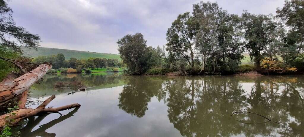אביתר ליכטמן