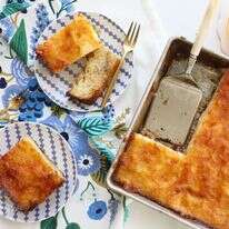 פורטוקלופיטה. | אפרת ליכטנשטט