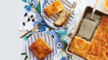 פורטוקלופיטה. | אפרת ליכטנשטט