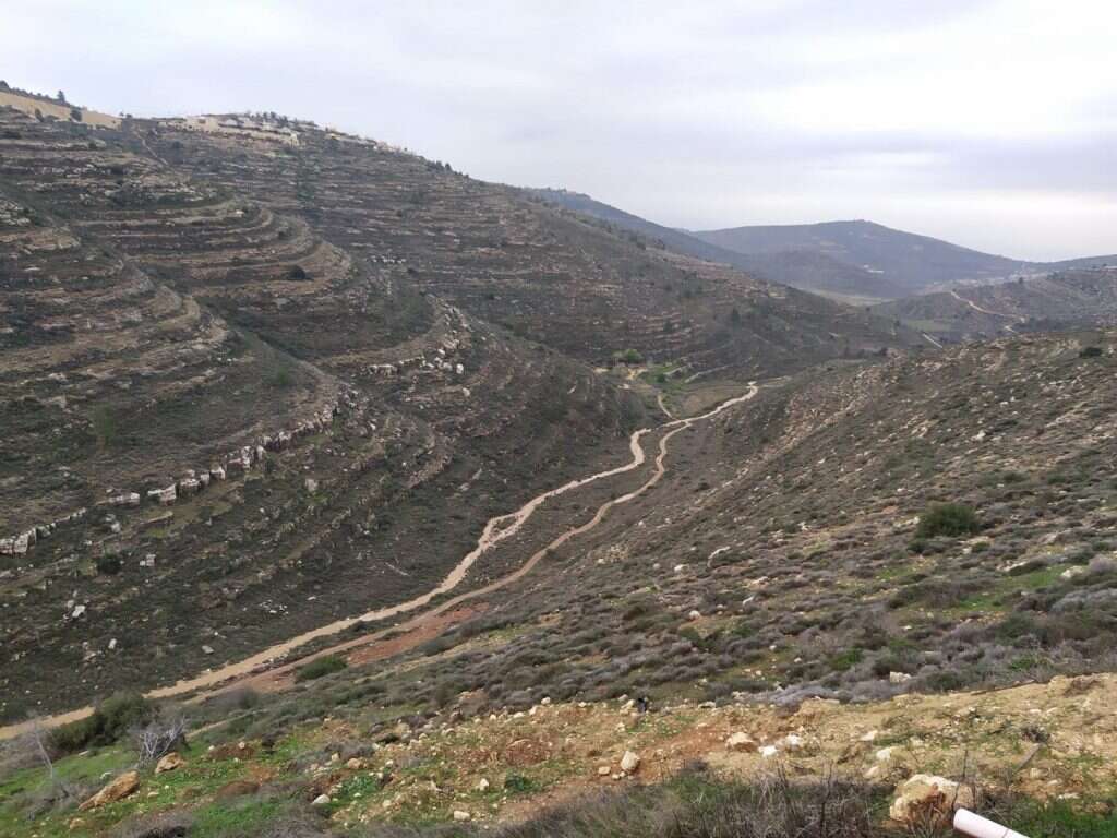 נחל שילה. | ברוך אודסר נחל שילה. | ברוך אודסר